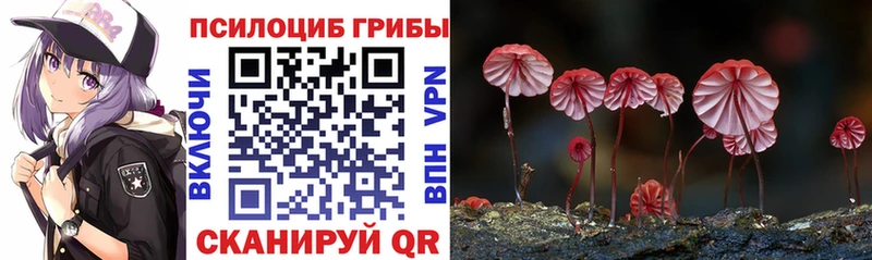 Галлюциногенные грибы Psilocybine cubensis  Подольск 