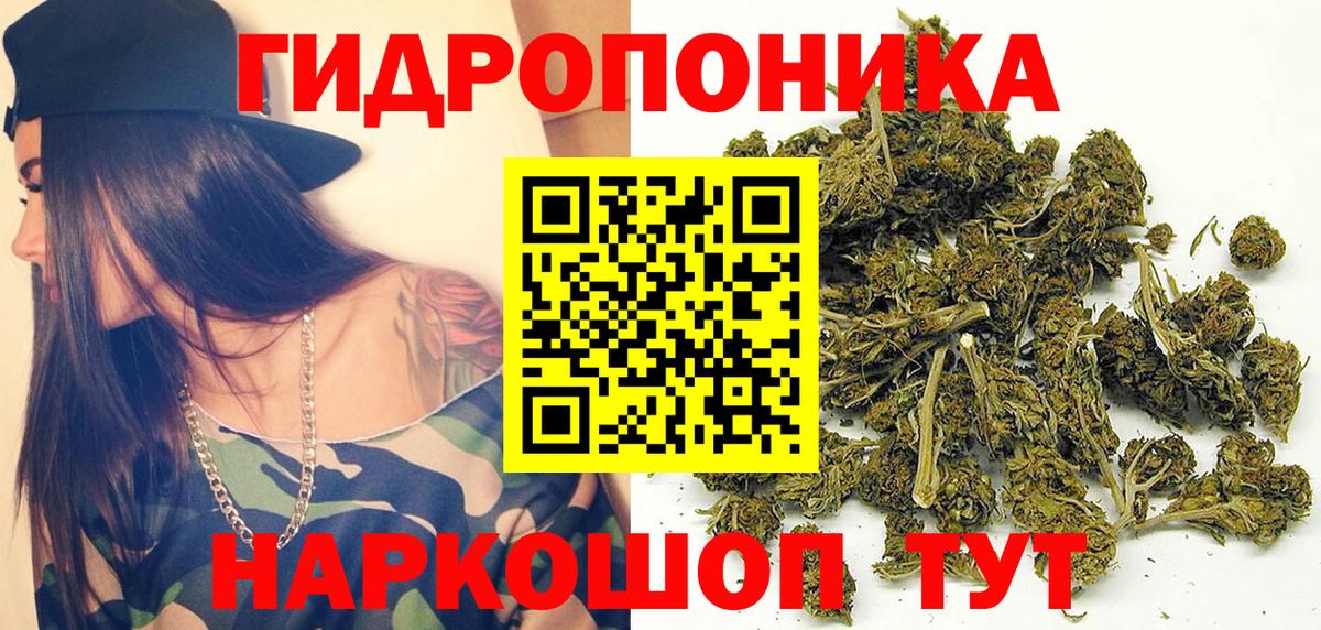 Бошки марихуана планчик Подольск